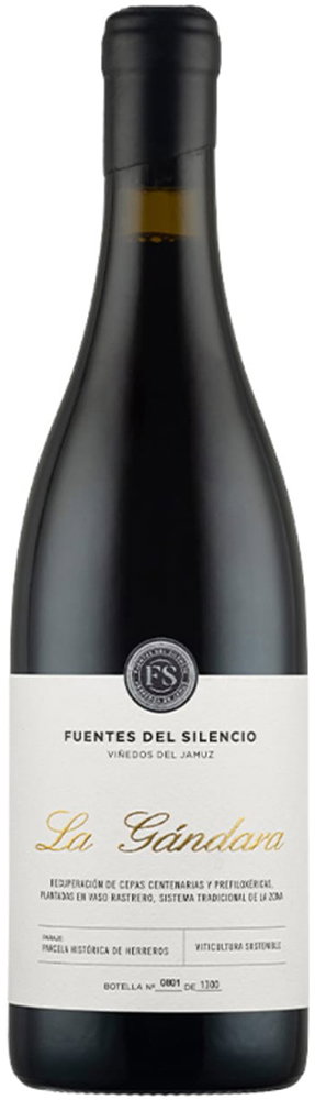 2019 Fuentes del Silencio La Gandara Castilla y León VT