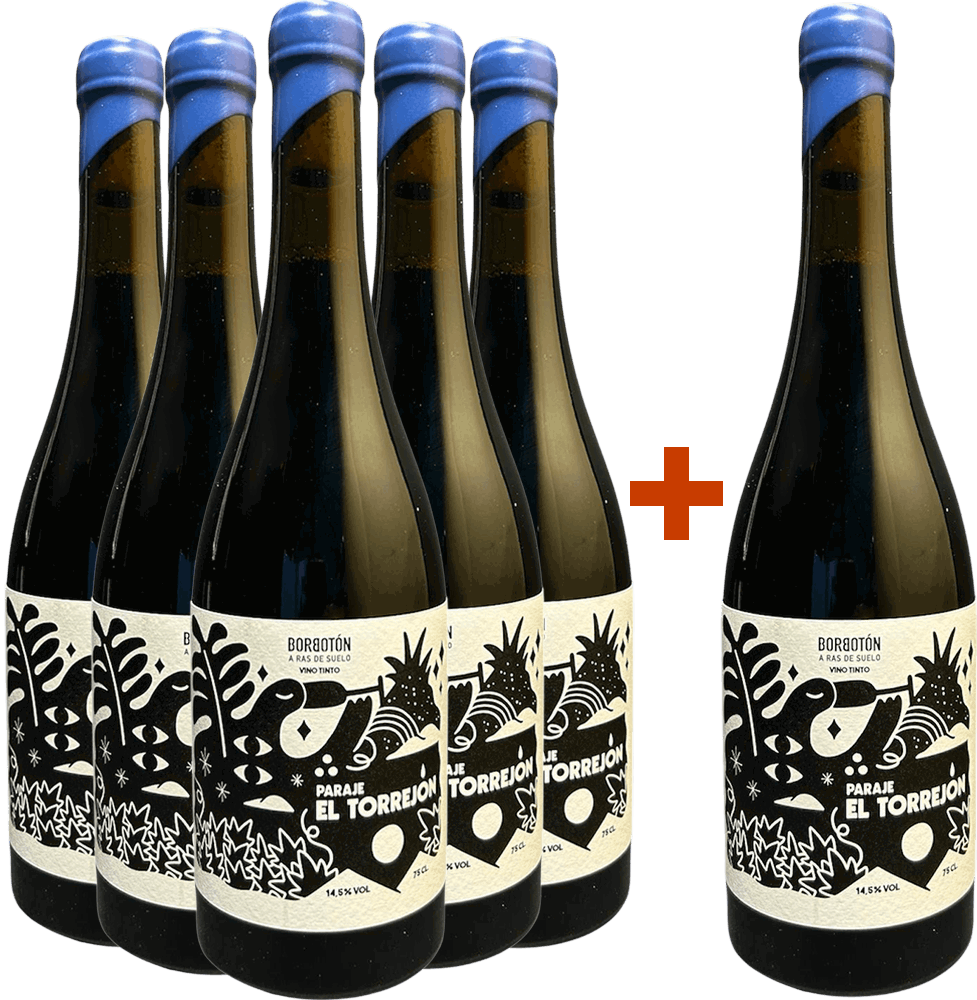 5+1 Paraje el Torrejón