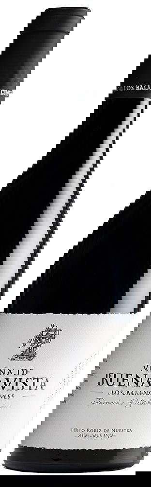 2019 P.H. Viña de Buenavista Extremadura VT