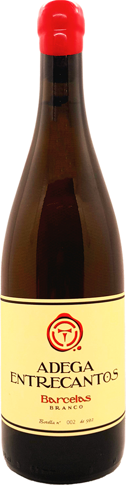 2019 Barcelas Branco