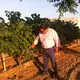 Bodega Pardo Tolosa
