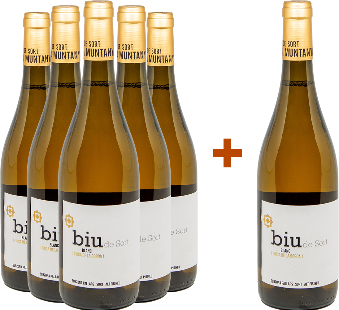 Pack descuento 5+1 Biu Riesling Costers del Segre DO