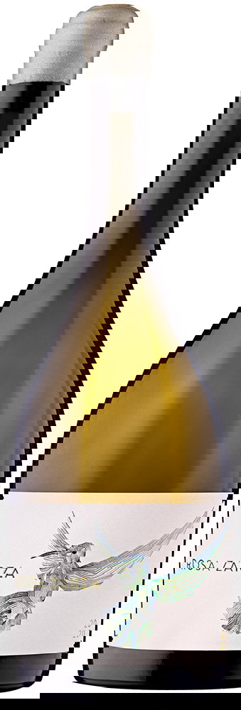 2020 Rosa Zarza Castilla y León VT