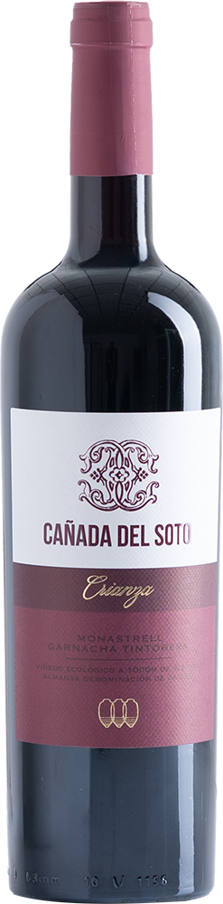 2021 Cañada del Soto Crianza Almansa DO BIO