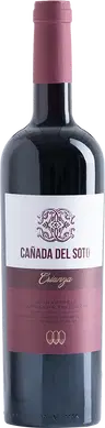 2021 Cañada del Soto Crianza Almansa DO BIO