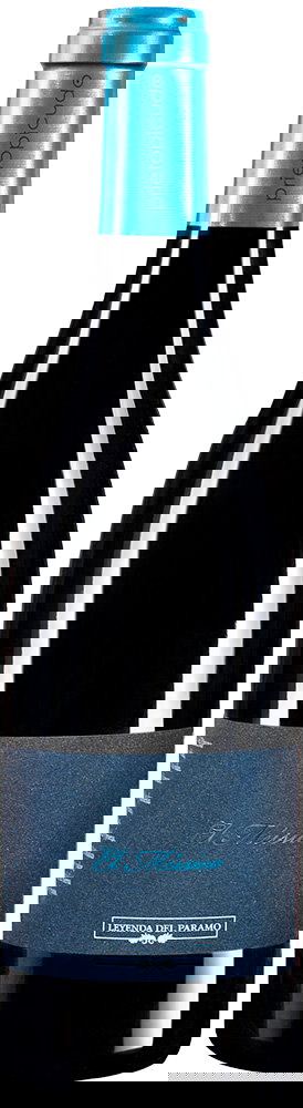 2015 El Músico Castilla y León VT