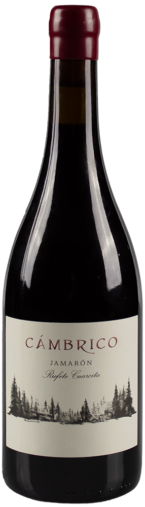 2019 Cámbrico Jamarón Sierra de Salamanca DOP BIO