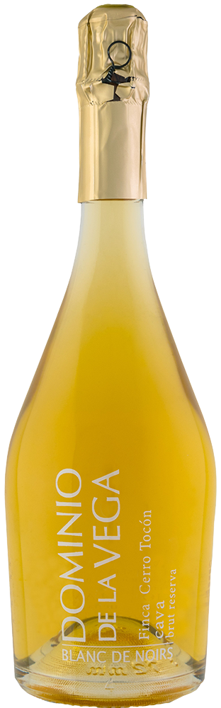 2017 Dominio de la Vega Cerro Tocón Cava DO