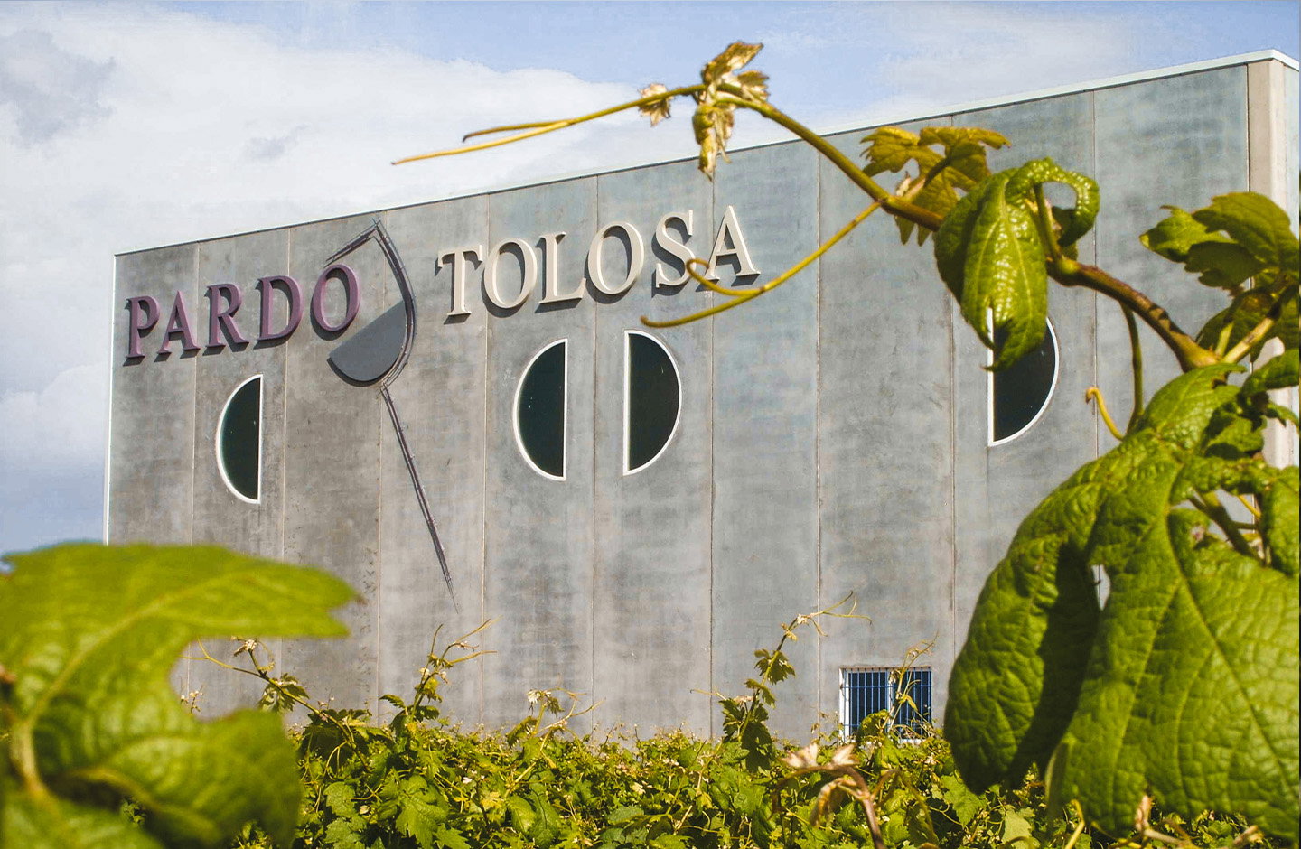 Pardo Tolosa