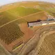 Finca Montepedroso