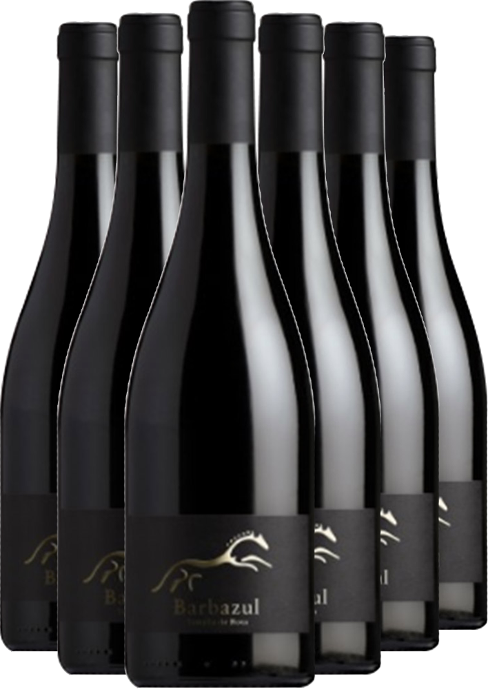 Pack descuento Barbazul Tintilla de Rota Cádiz VT