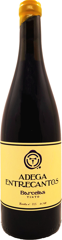 2021 Barcelas Tinto