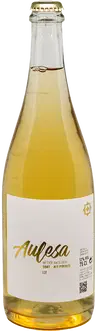 2022 Aulesa