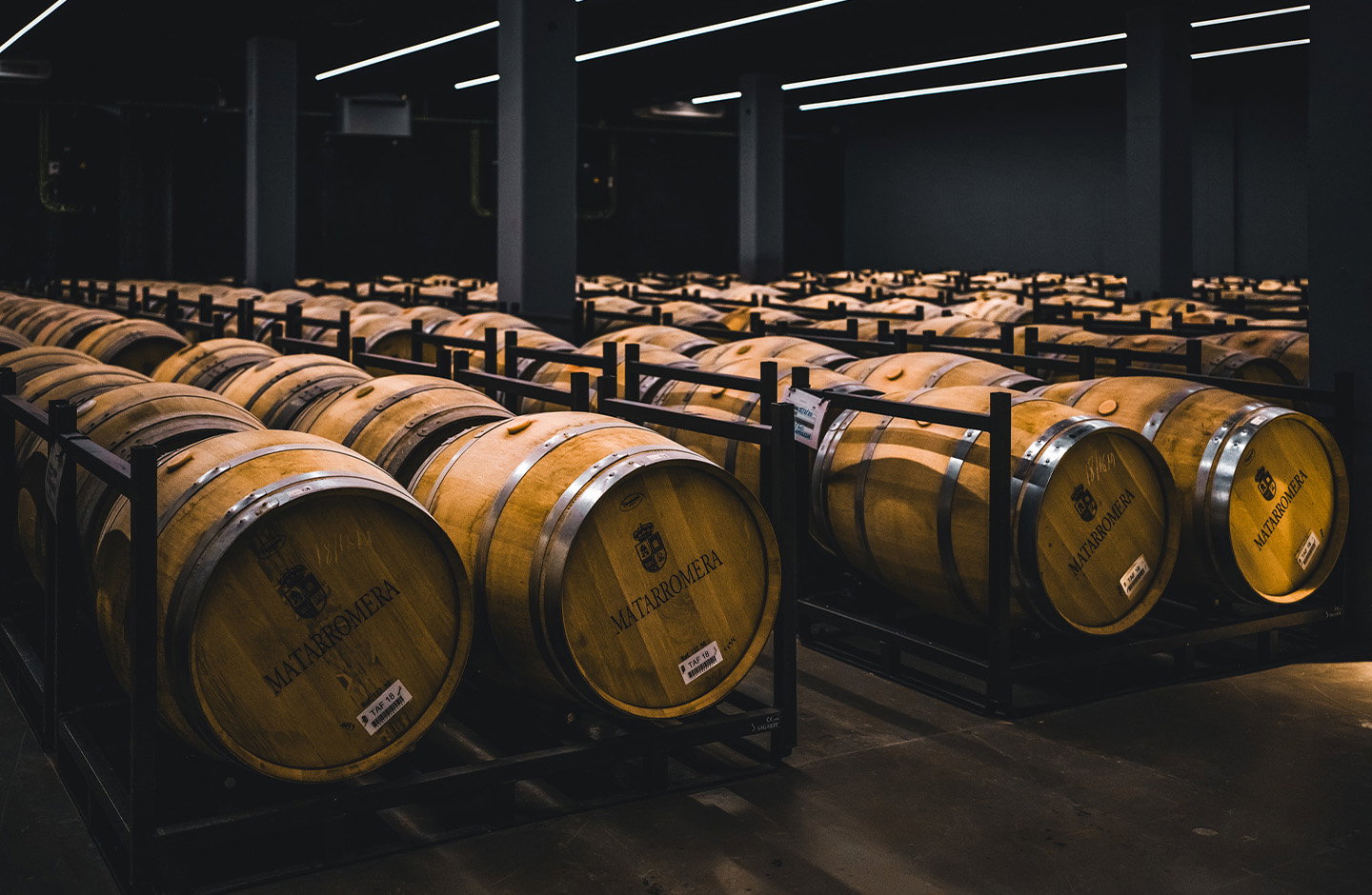 Bodegas Familiares Matarromera