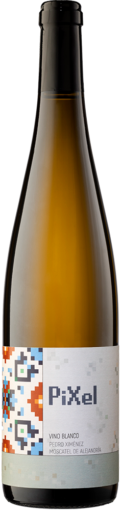 2023 PiXel Blanco