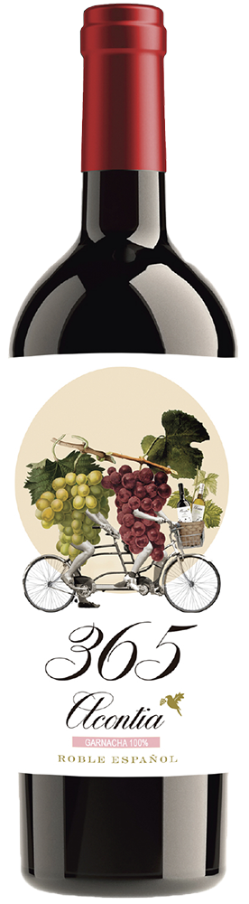 2021 Acontia 365 Toro DO