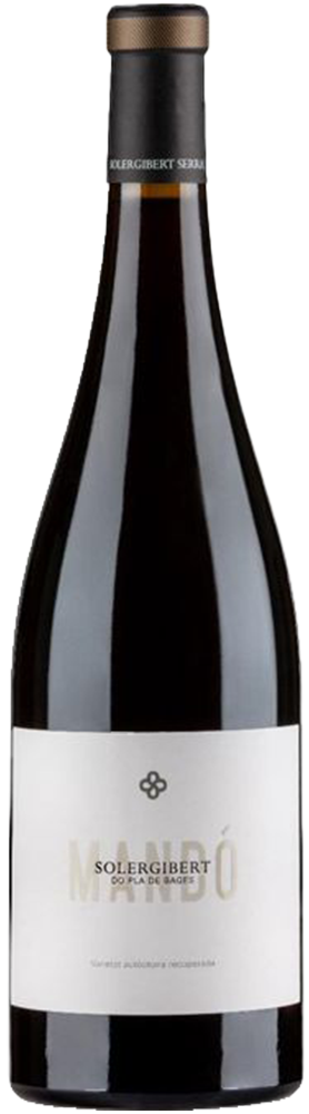 2021 Solergibert Mando Negre Pla de Bages DO reflection