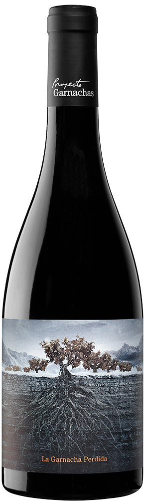 2021 La Garnacha Perdida del Pirineo Ribera del Queiles VT