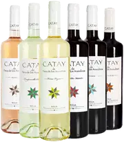 ¡Descubre los mejores vinos de la región de La Rioja!