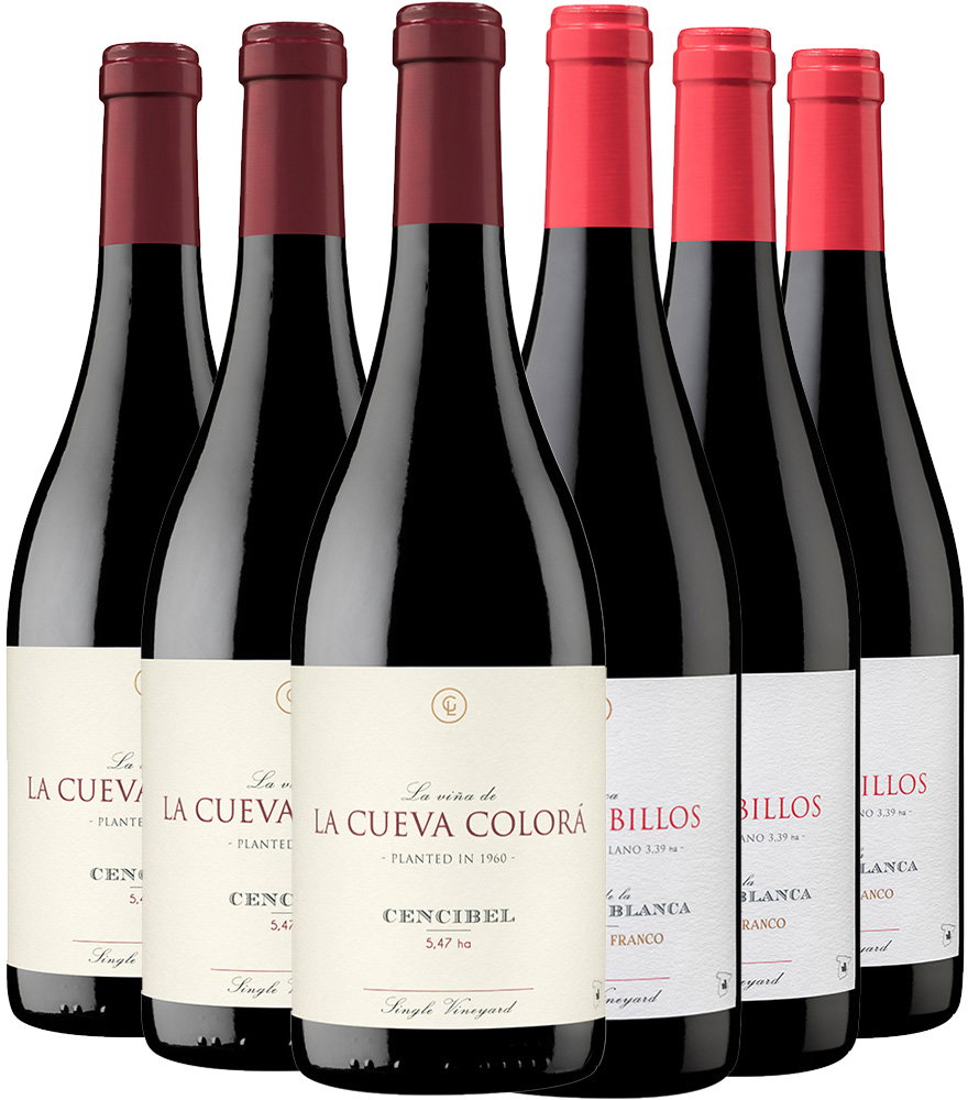 Pack degustación Tinto Garcia de Lara Castilla VT