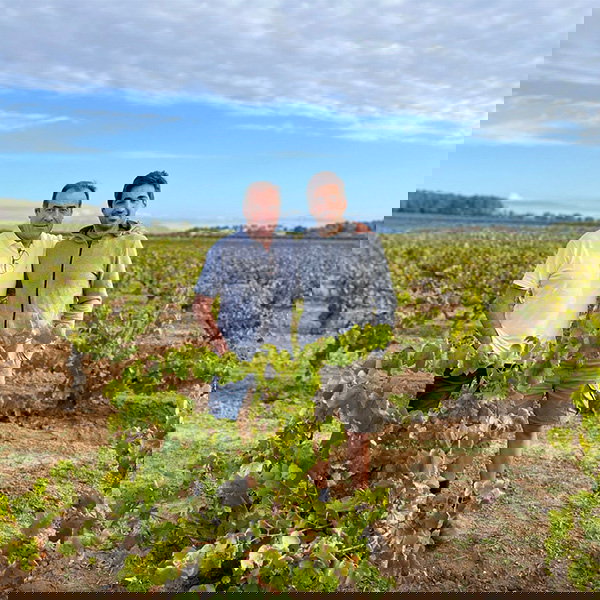 Agustí Torelló Roca