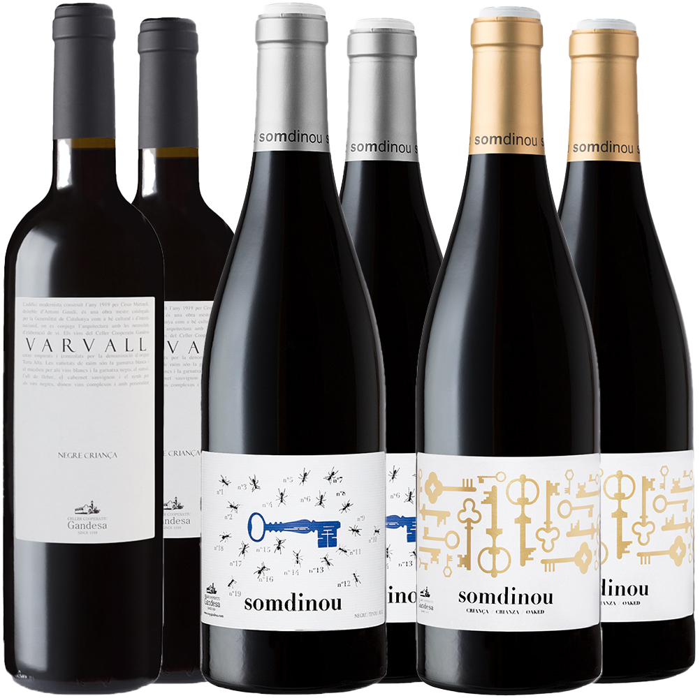 Pack degustación Cooperativa de Gandesa vino tinto Terra Alta DO BIO
