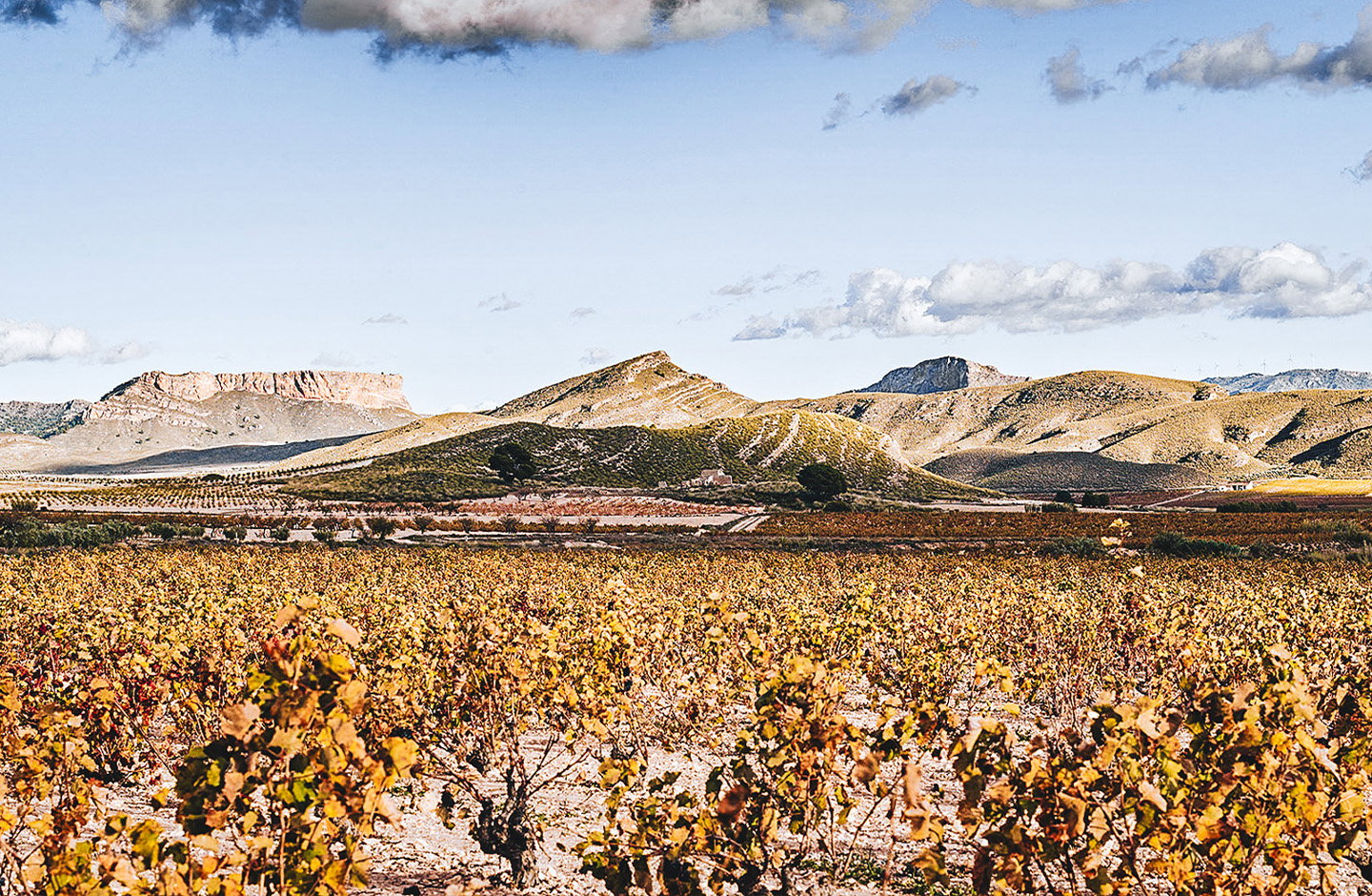 Parajes del Valle