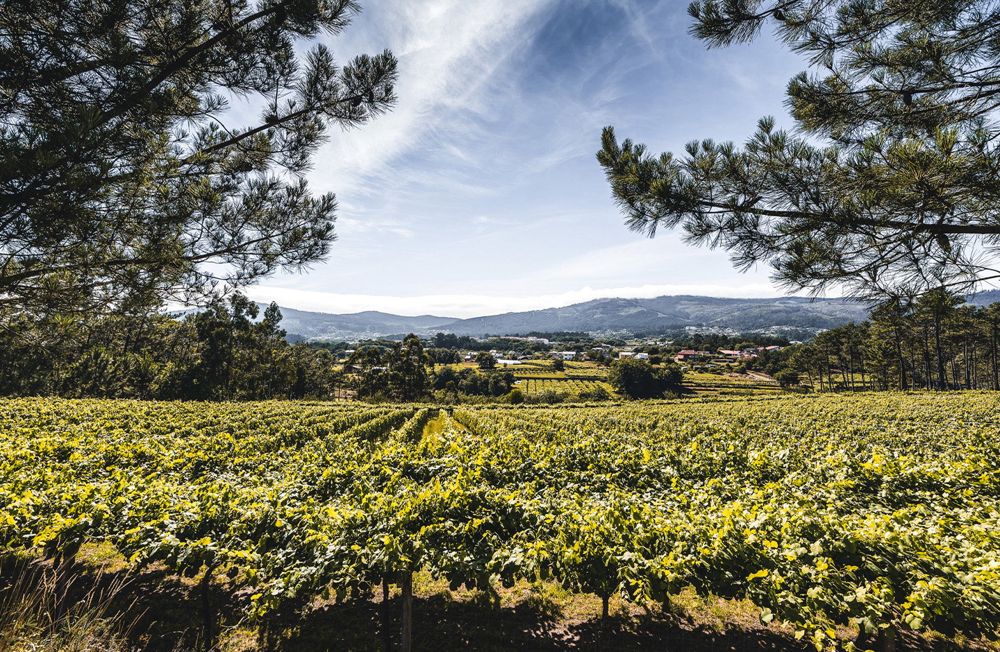 Quinta do Couselo