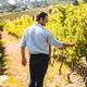 Bodegas Gonzalez Teso