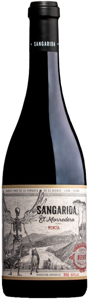 2021 Sangarida El Morredero DO Bierzo reflection