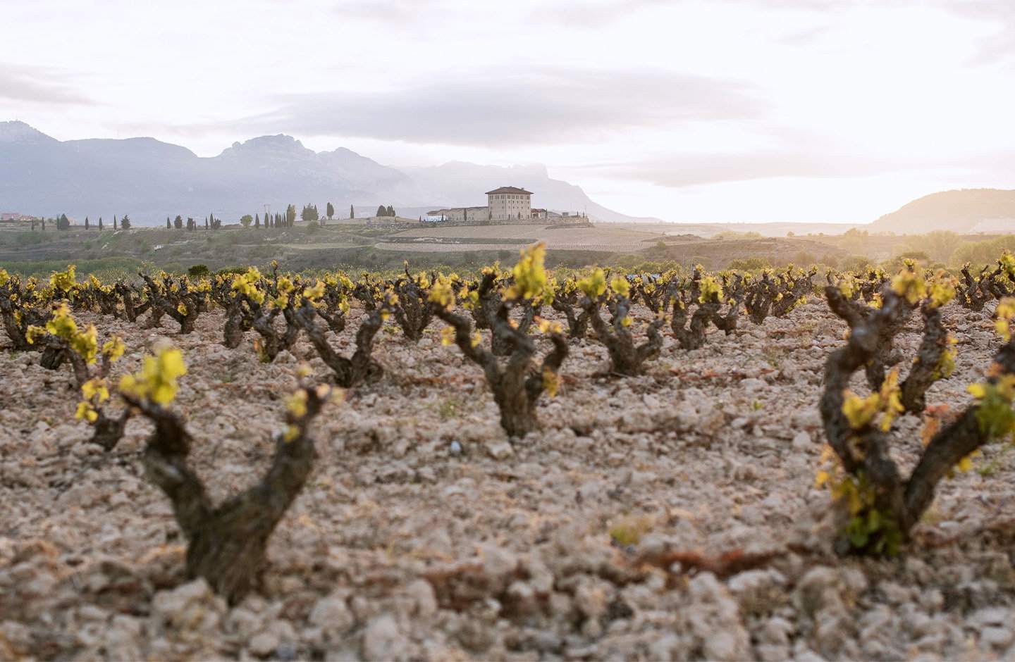 Hacienda López de Haro