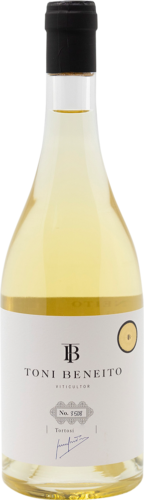 2024 Toni Beneito Tortosí