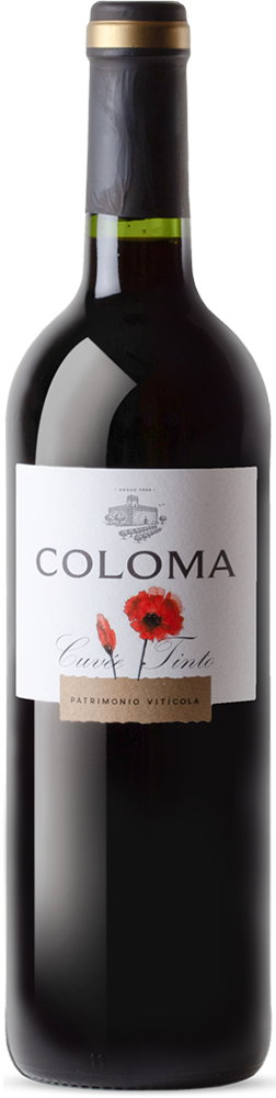 2023 Coloma Cuvee Extremadura VT reflection