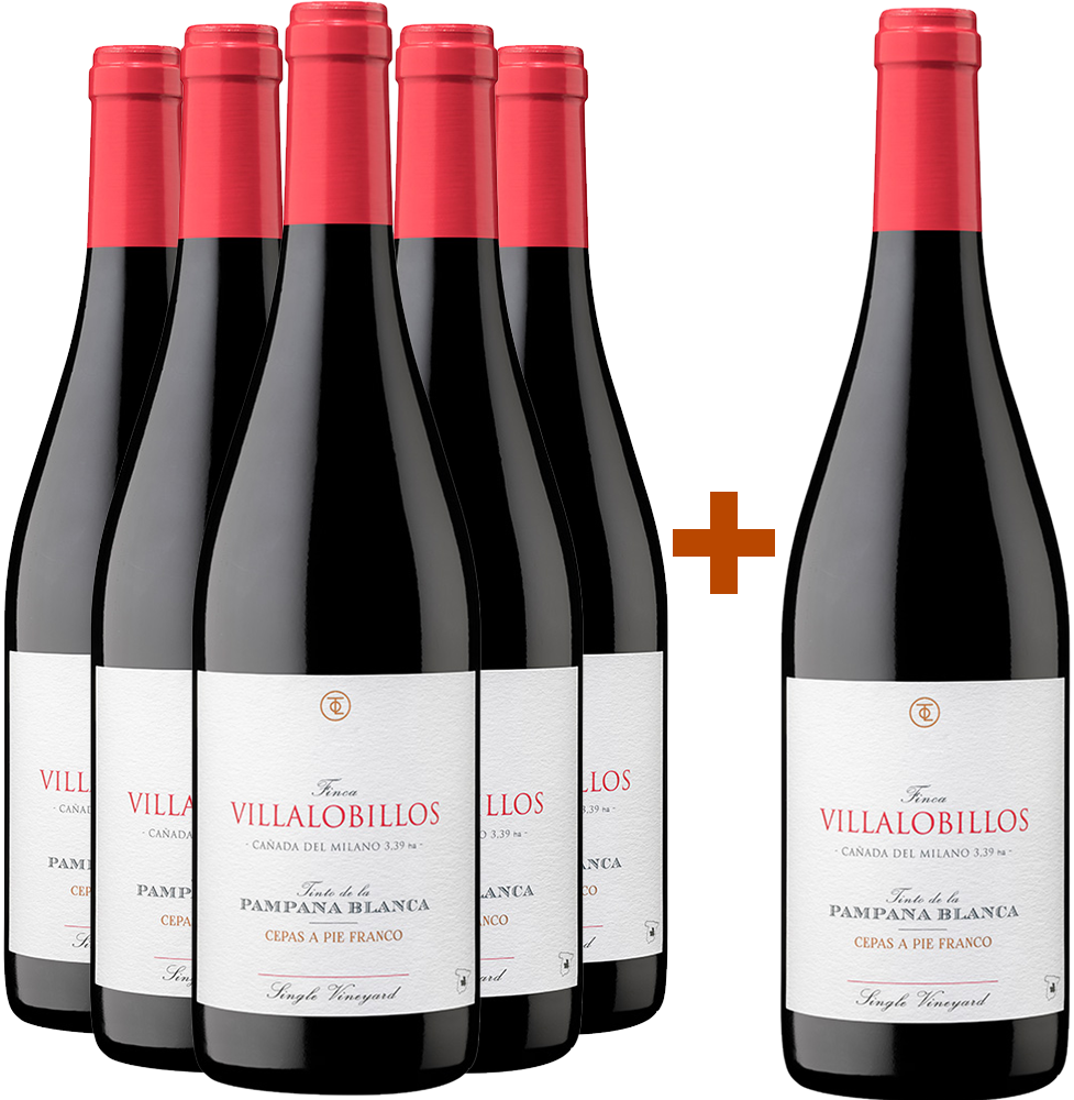 Pack descuento 5+1 Pampana Blanca Castilla VT