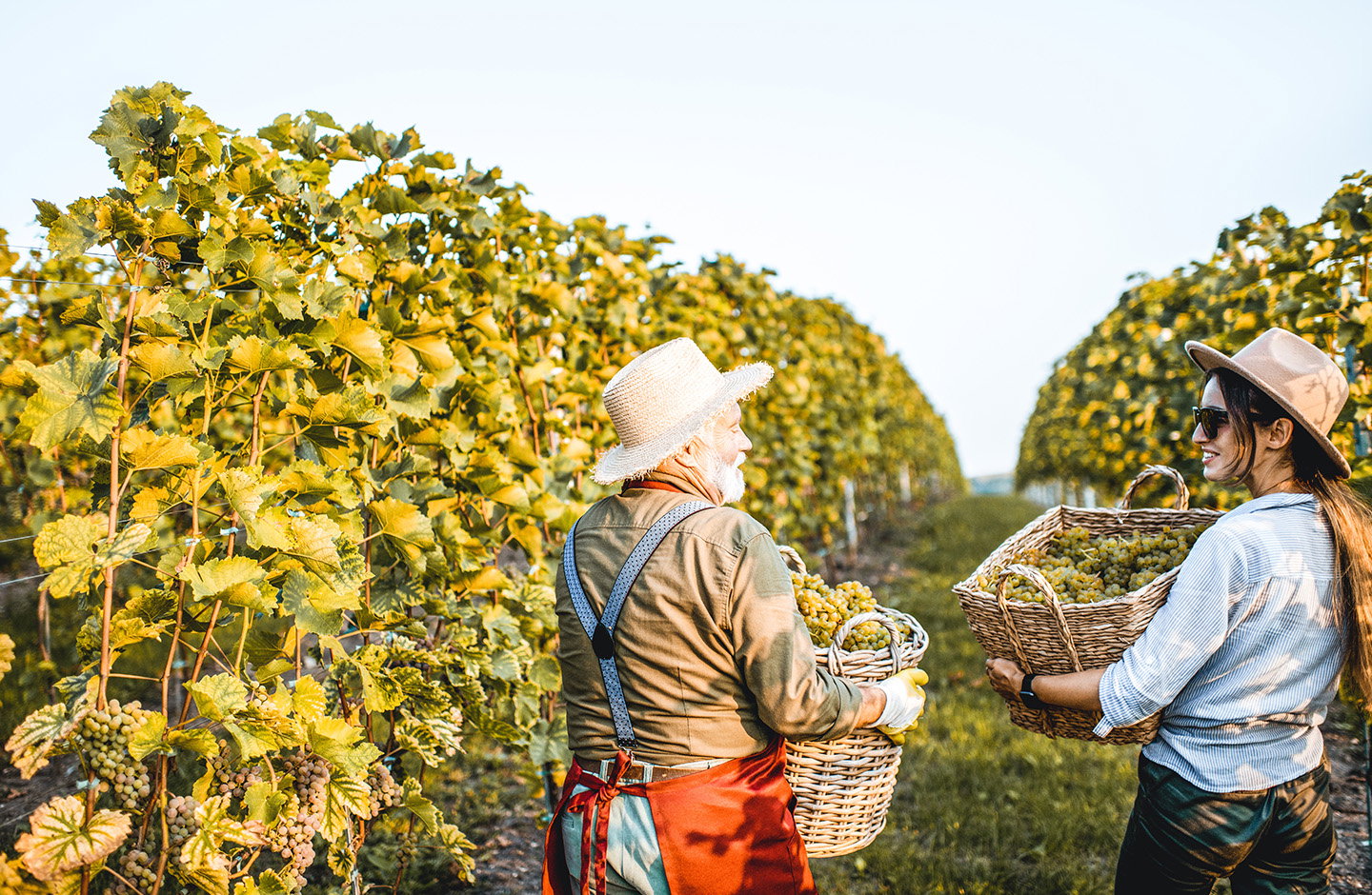 ¿El mejor regalo para papá? ¡Vino!
