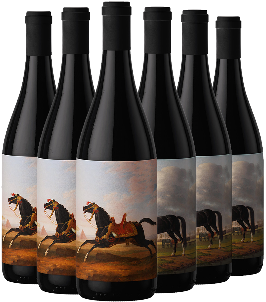 Pack degustación Allblack Wines Almansa DO - Utiel-Requena DO