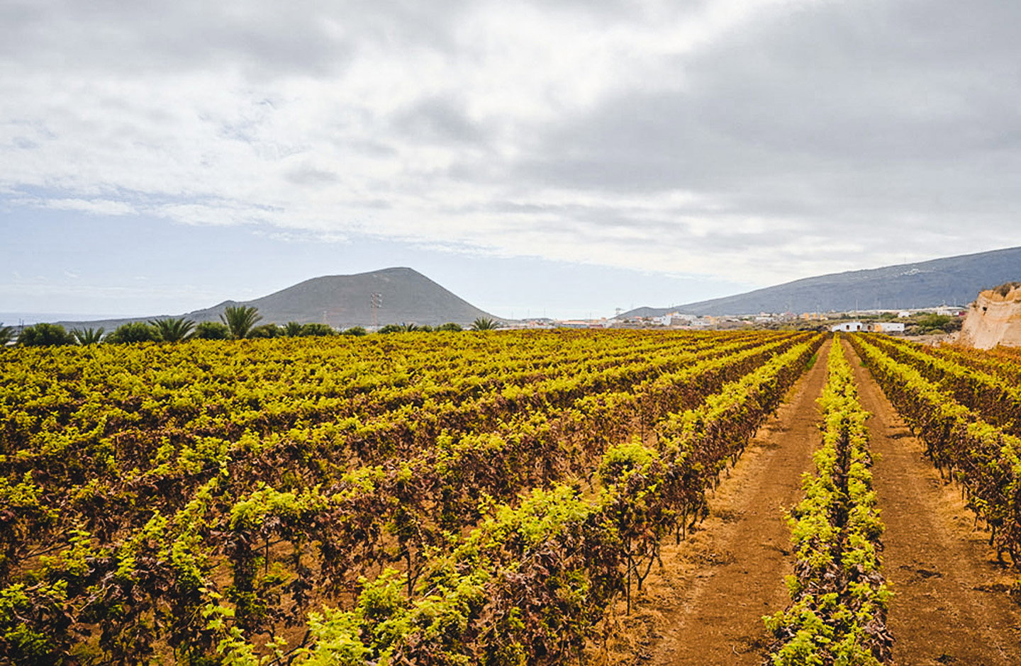 Cándido Hernández Pío