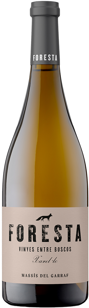 2021 Foresta Xarel·lo DO Penedès BIO reflection