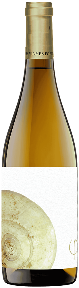 2023 Bellesa Perfecta White DOCa Priorat