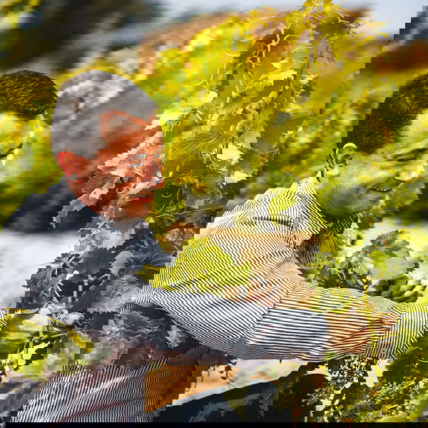 Juanjo Galcera Piñol