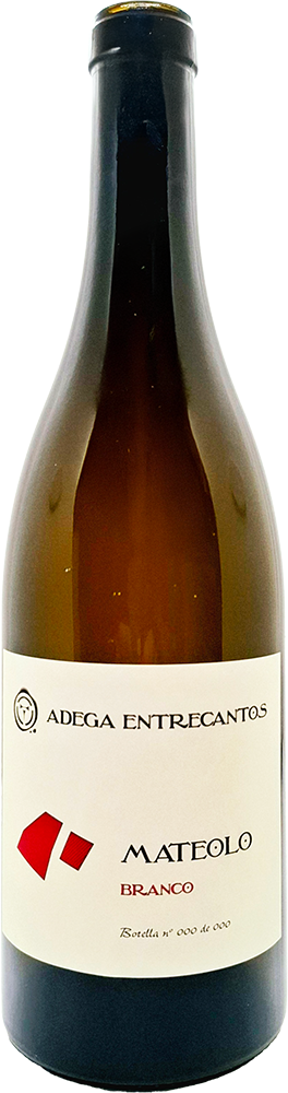 2024 Mateolo Branco
