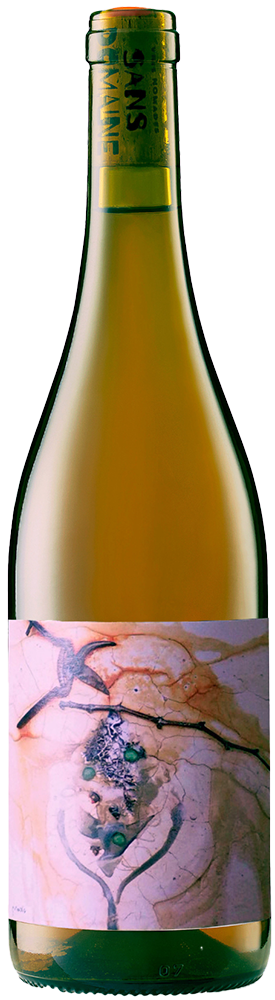 2023 Sans Domaine Procès reflection