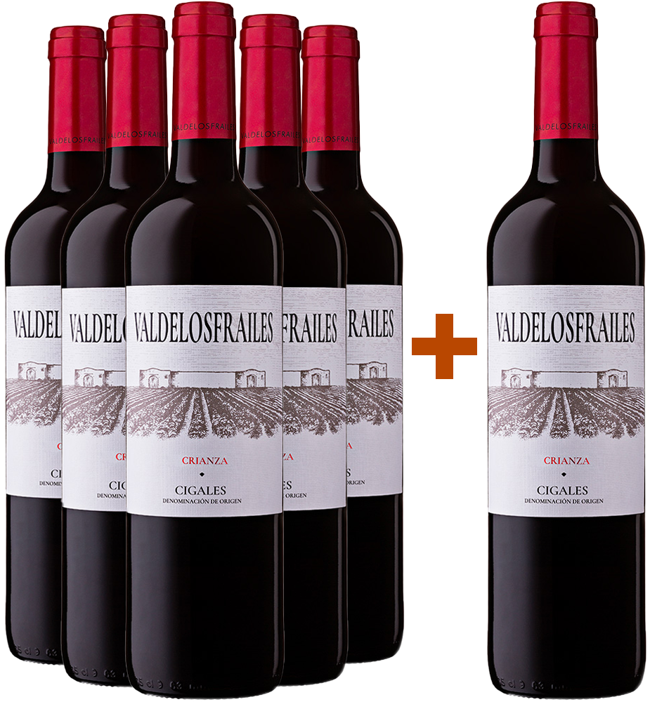 Pack Descuento 5+1 Valdelosfrailes Crianza 2021 DO Cigales