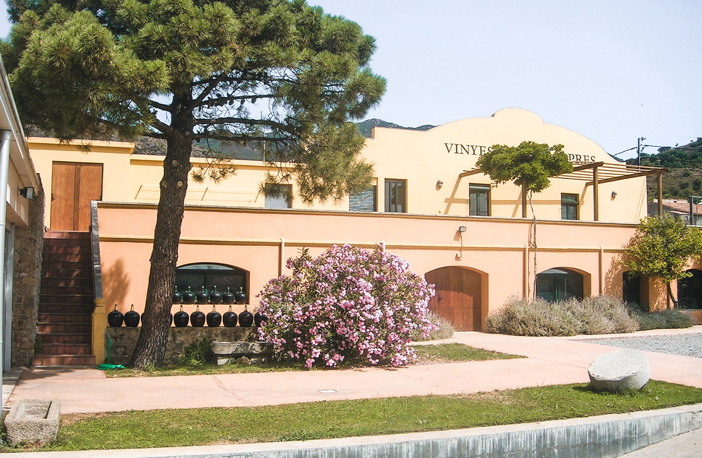 Vinyes dels Aspres