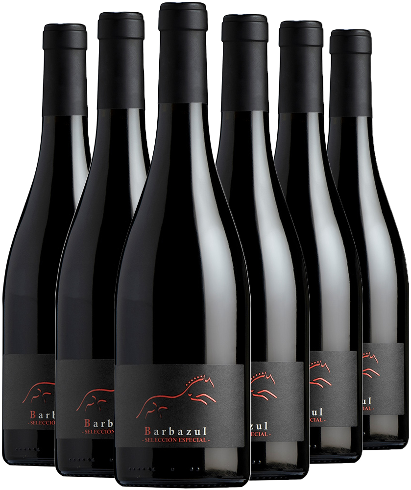 Pack descuento Barbazul Selección Especial Cádiz VT