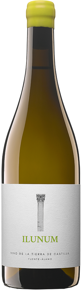 2024 Ilunum Blanco Castilla VT