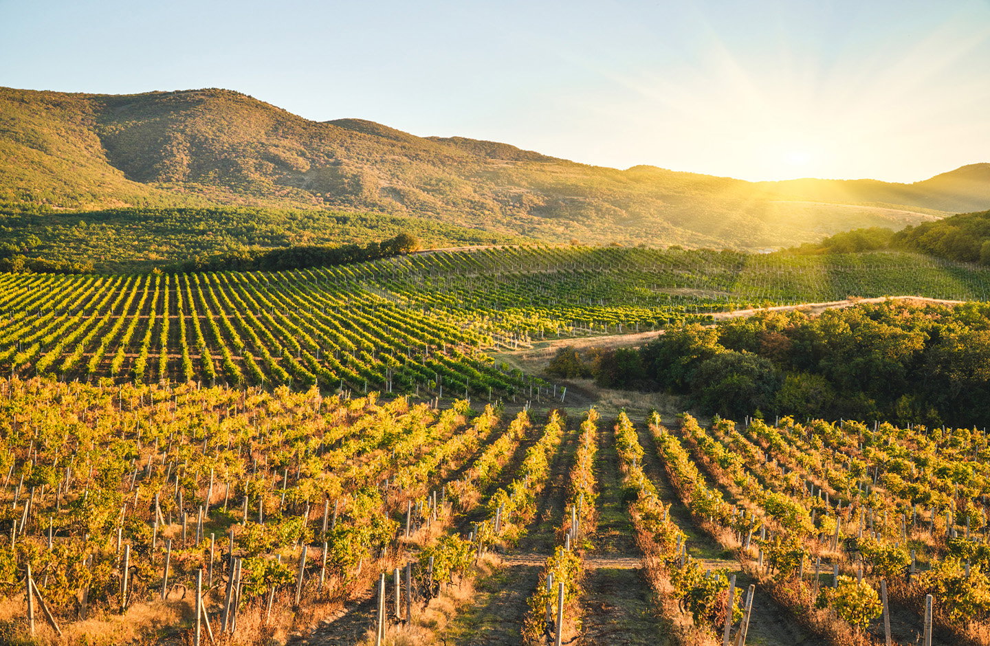 ¡Descubrimientos que no te puedes perder!