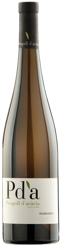 2024 Solergilbert PDA Pla de Bages DO reflection