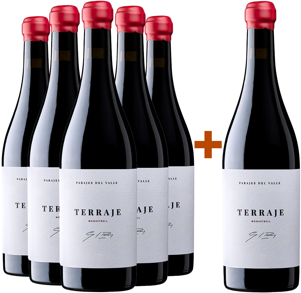 Experiencia Parajes del Valle: Blanco, Maceración, Rosado y Tinto + Tinto Terraje BIO