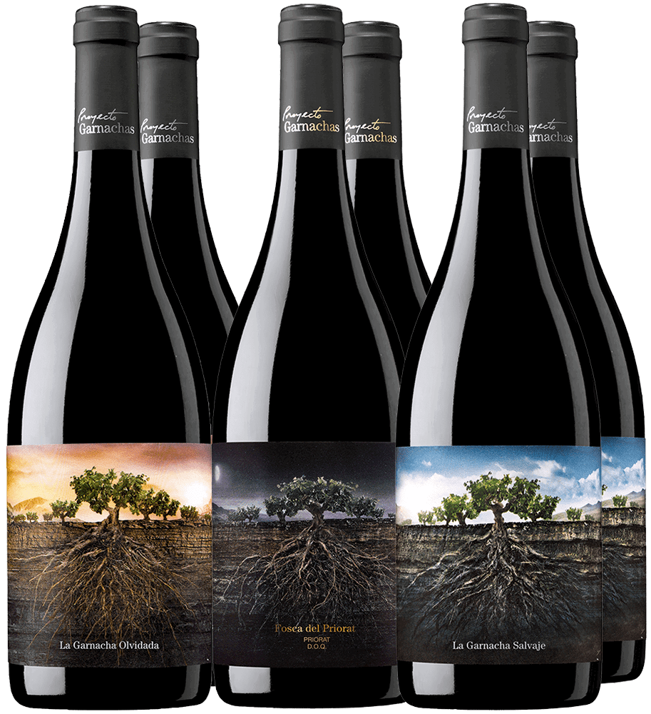 Pack Degustación Proyecto Garnachas